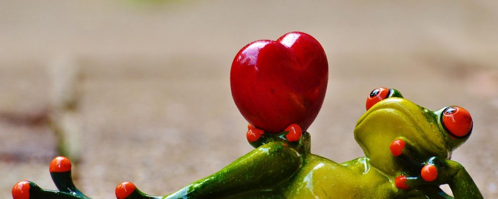 San Valentino culturale mostre, musei e performance da non perdere a Milano