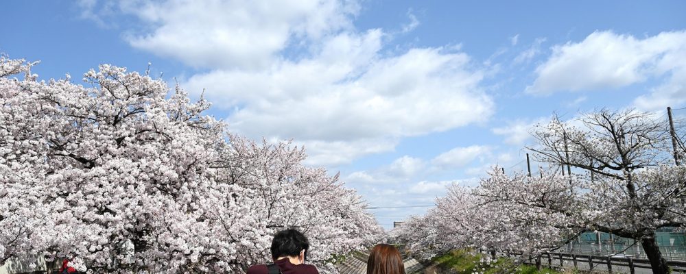 San Valentino a Milano: 10 esperienze romantiche fuori dal comune